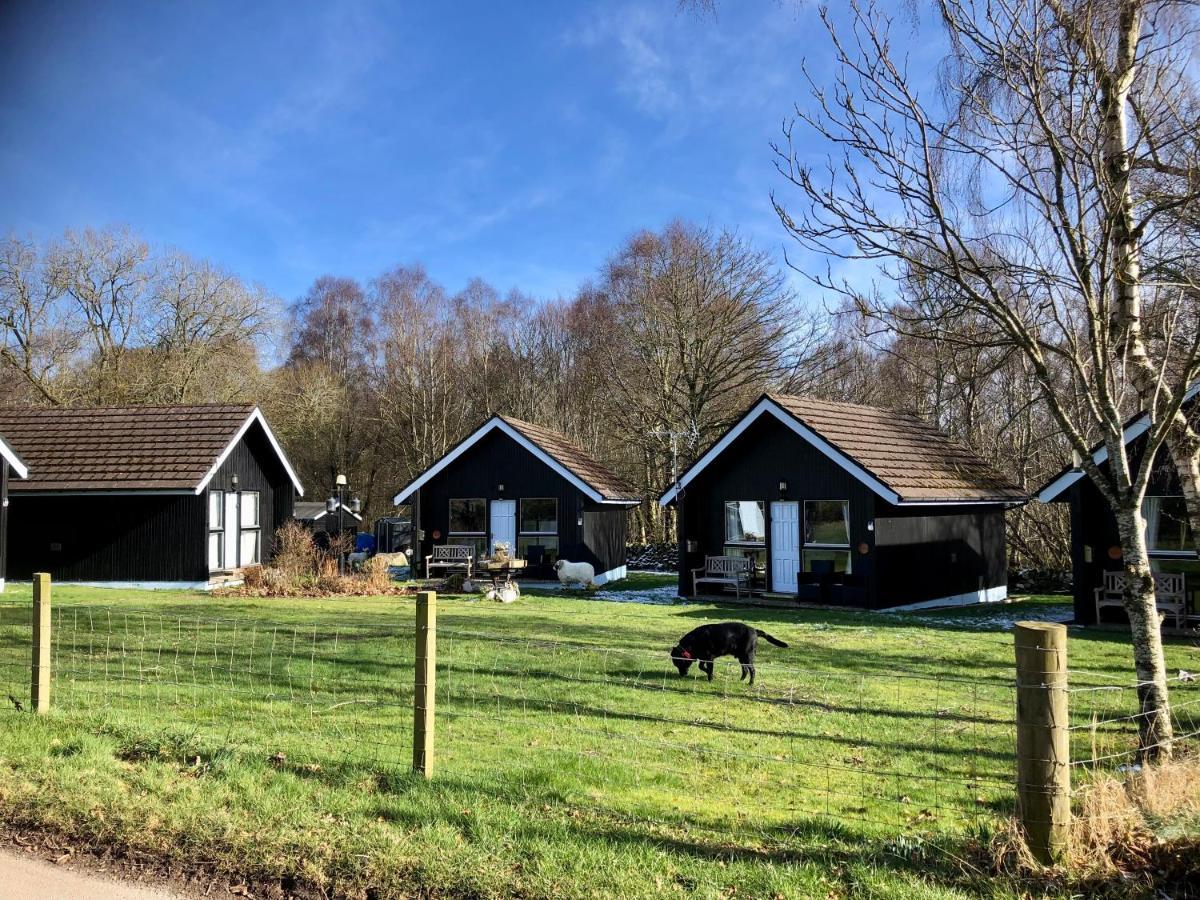 Kilcoy Chalets Muir of Ord Kültér fotó