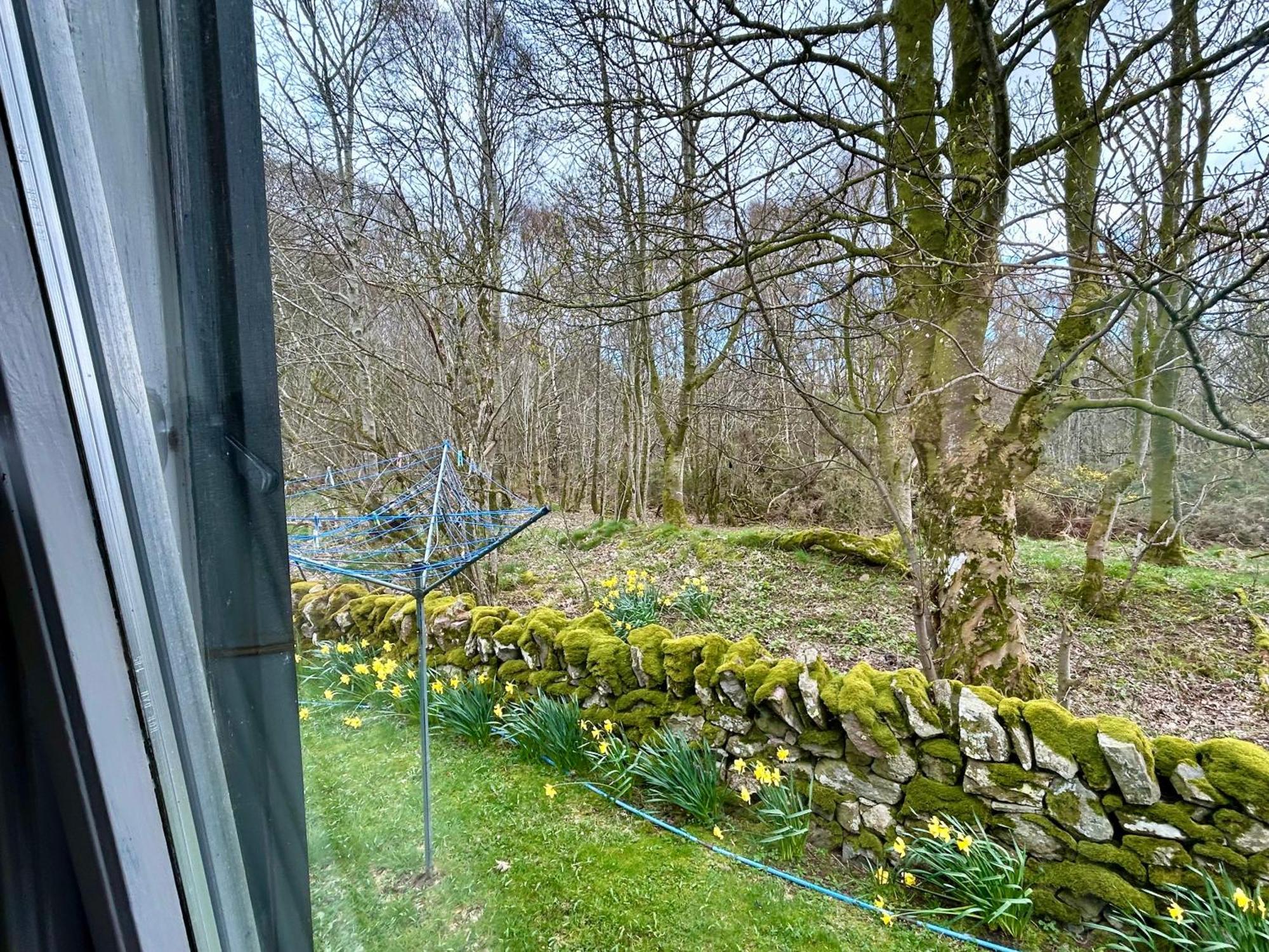 Kilcoy Chalets Muir of Ord Kültér fotó
